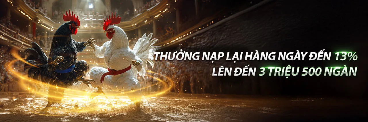 Đá gà trực tuyến tại Pub88 link mới 2026